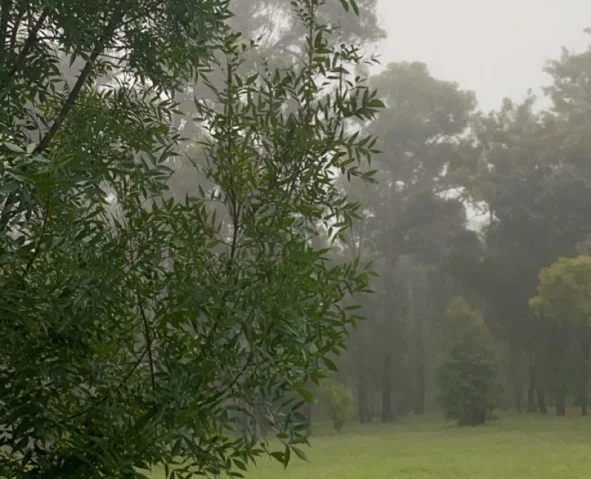 Additional image 30 of 3 Sylvia Court, Mallacoota VIC 3892