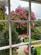 Additional image 11 of Heligan House, St. Austell PL26