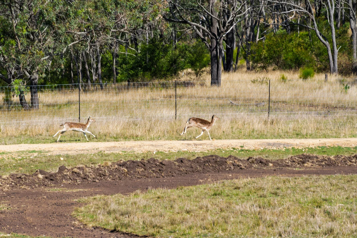 Additional image 28 of 38/262 Hendrie Road, Upper Pilton QLD 4361