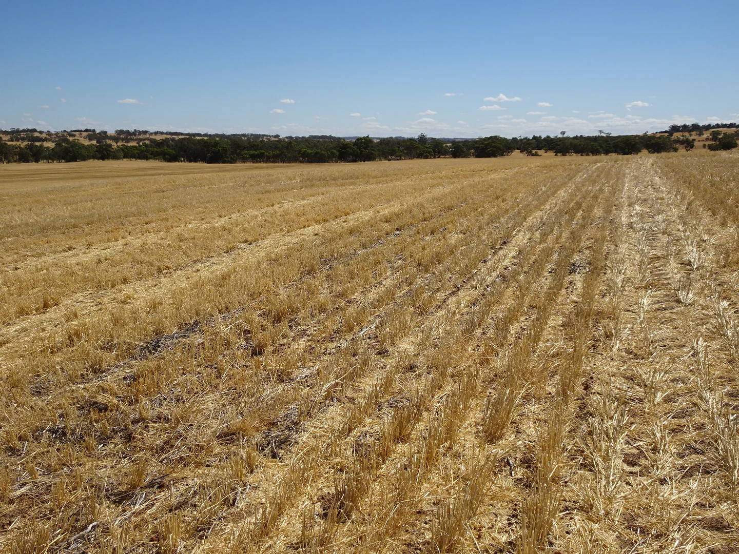 Additional image 20 of 747 Yenellin Road, East Pingelly WA 6308