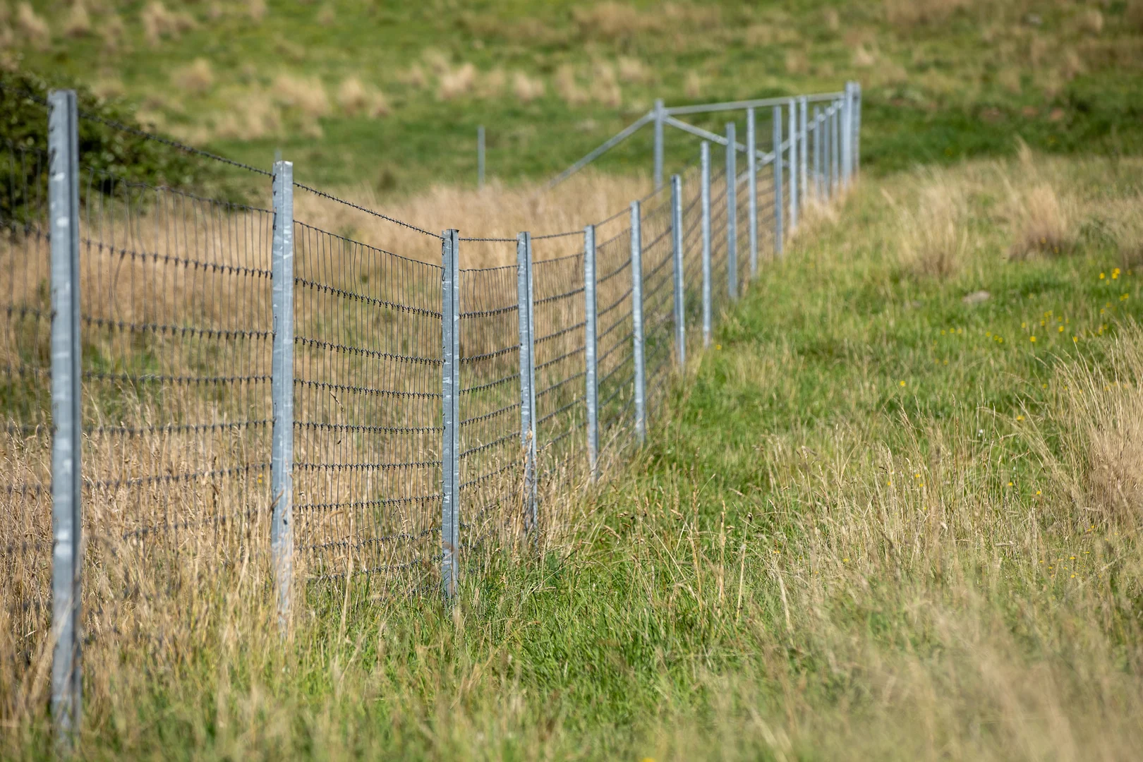 Additional image 31 of 1763 Wongwibinda Road, Armidale NSW 2350