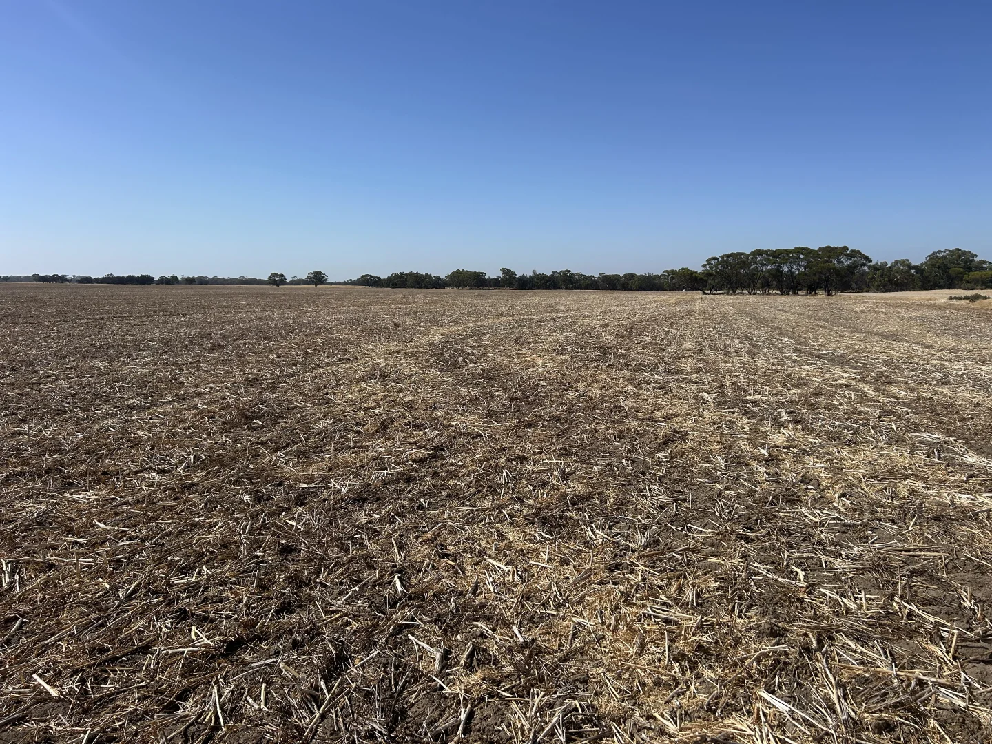 Additional image 4 of Dwarlacking Road, Bulyee WA 6306