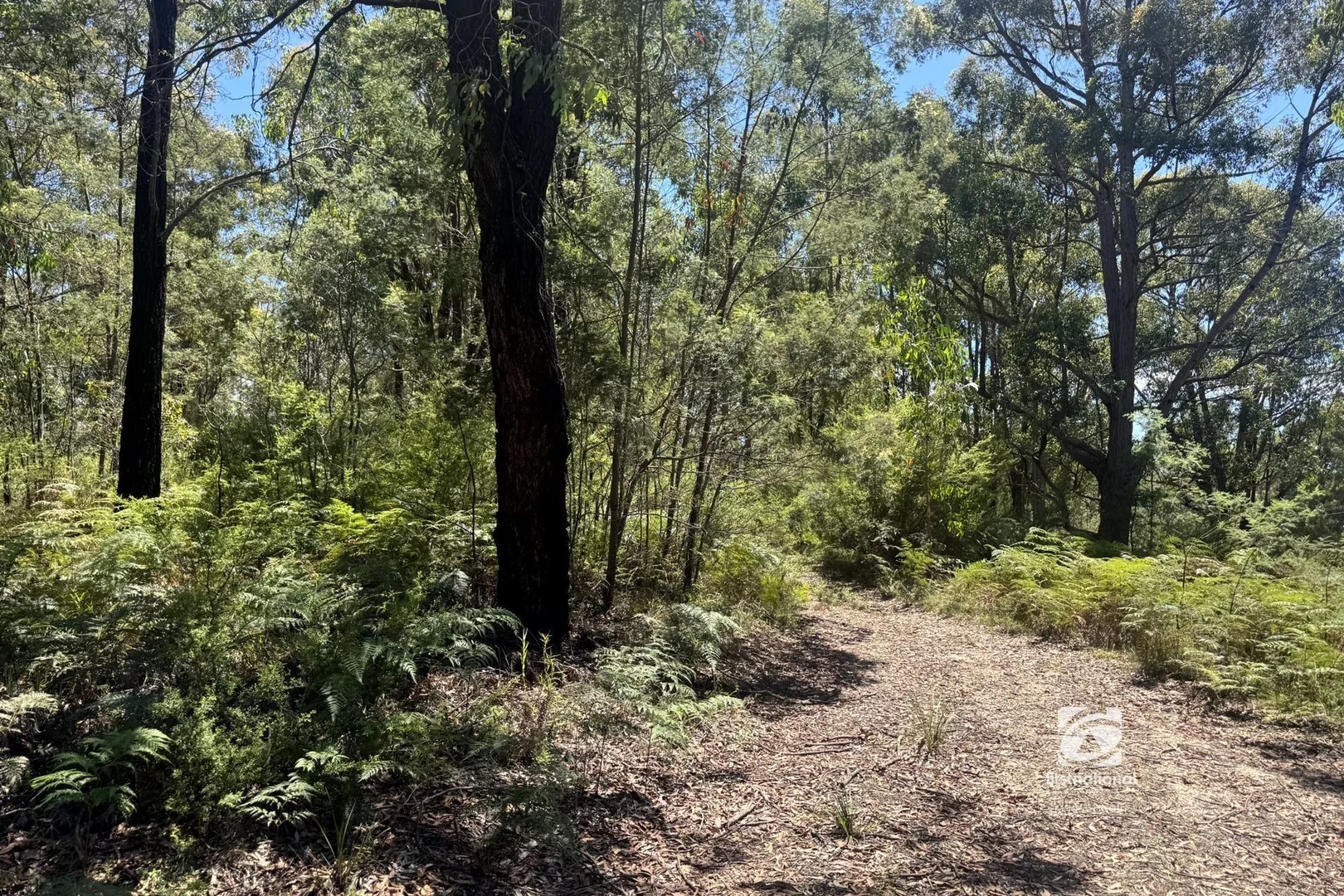 Additional image 11 of 139 Buchan South Road, Buchan South VIC 3885