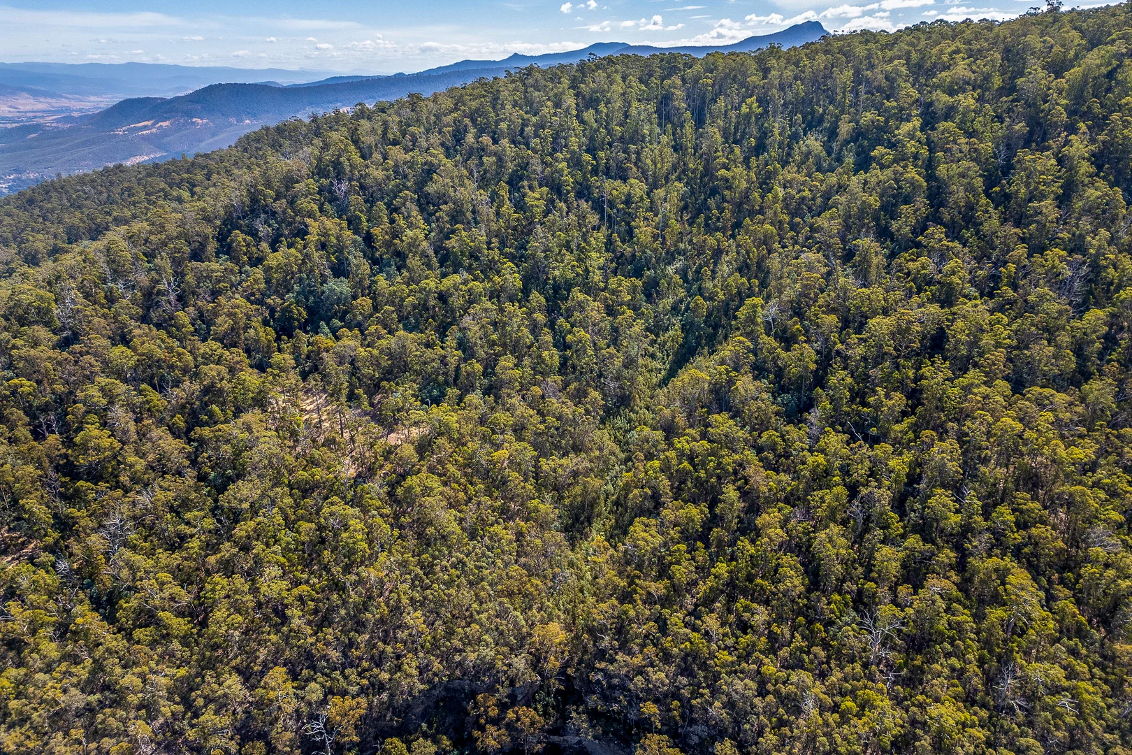 Additional image 6 of 1 Douglas Road, Molesworth TAS 7140