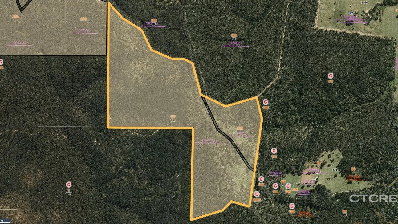 Additional image 19 of 12F & 12G Minchins Track, Bonang VIC 3888