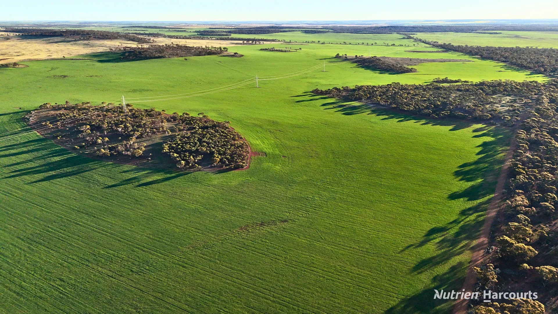 Additional image 4 of Lot 379 Garratt Road, Southern Cross WA 6426