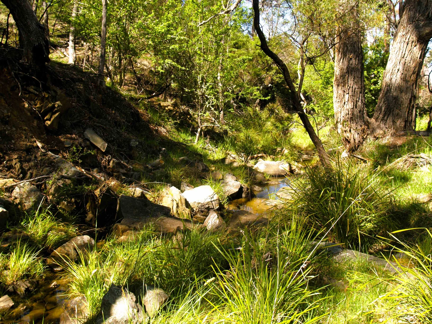 Additional image 24 of 198 Wurungul Lane, Gundaroo NSW 2620