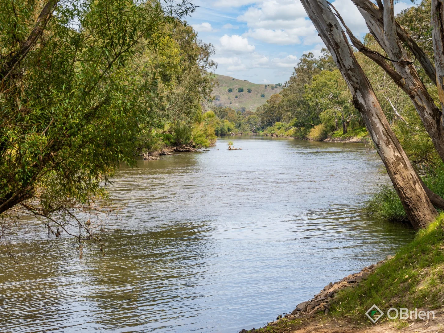 Additional image 36 of 4099 River Road, Jingellic NSW 2642