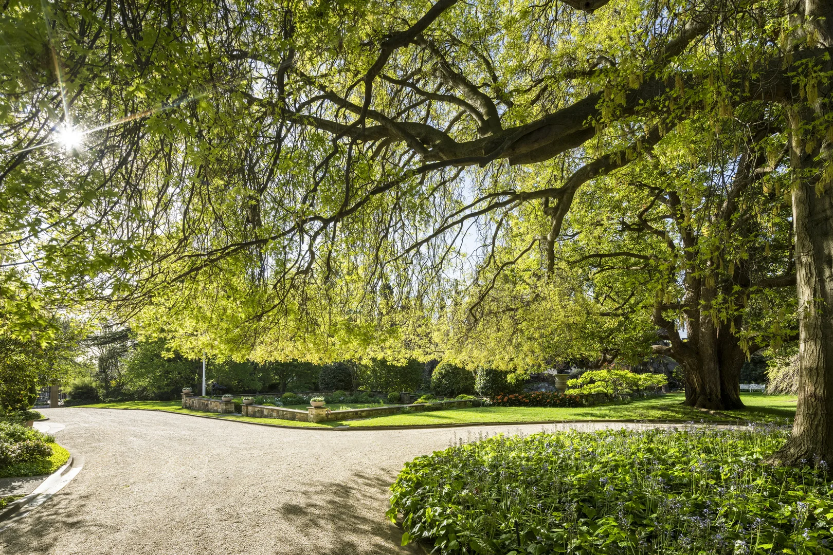 Additional image 10 of 62 Clendon Road, Toorak VIC 3142