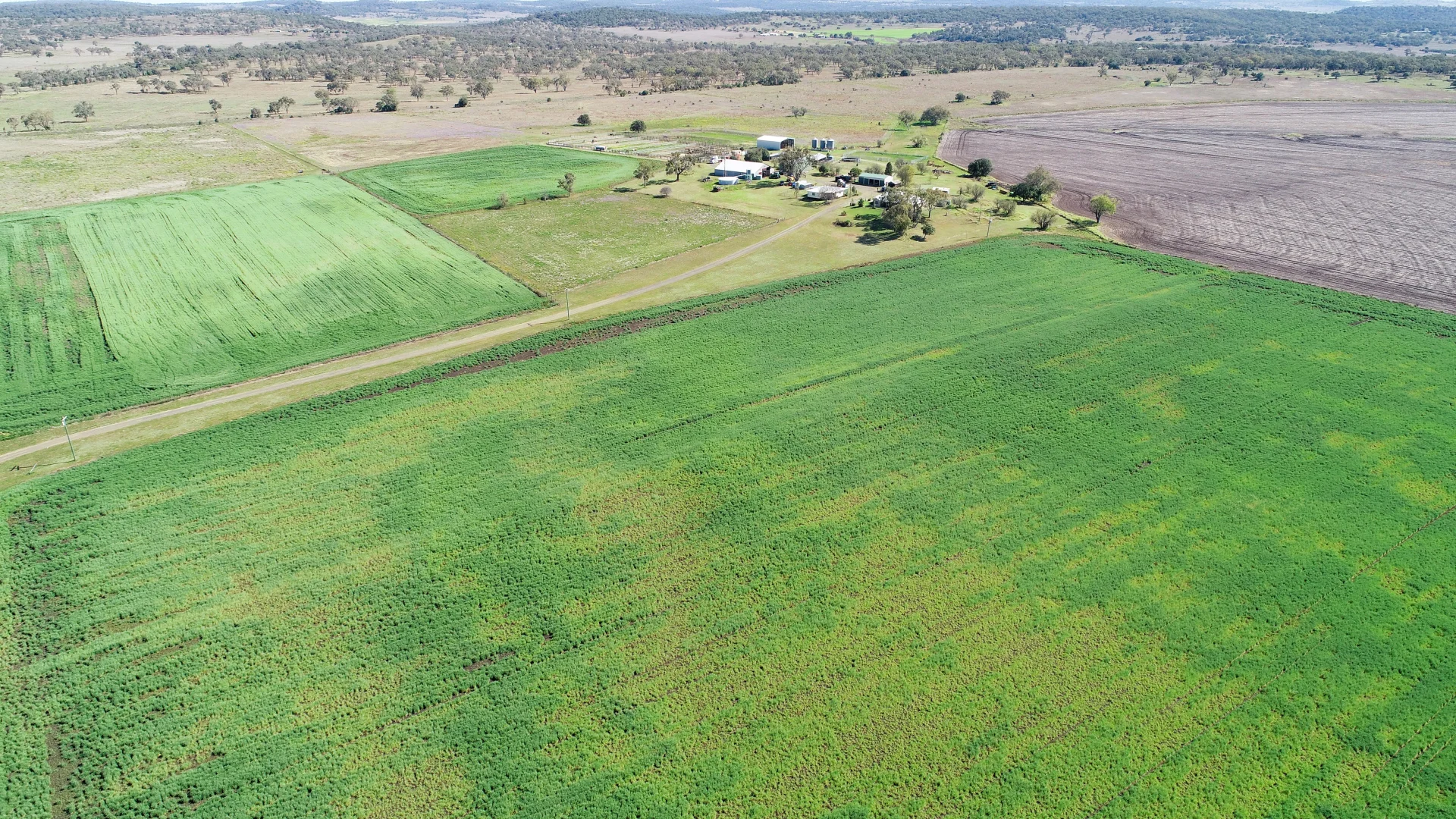 Additional image 20 of 'The Overflow' 102 Crighton Road, Biddeston QLD 4401