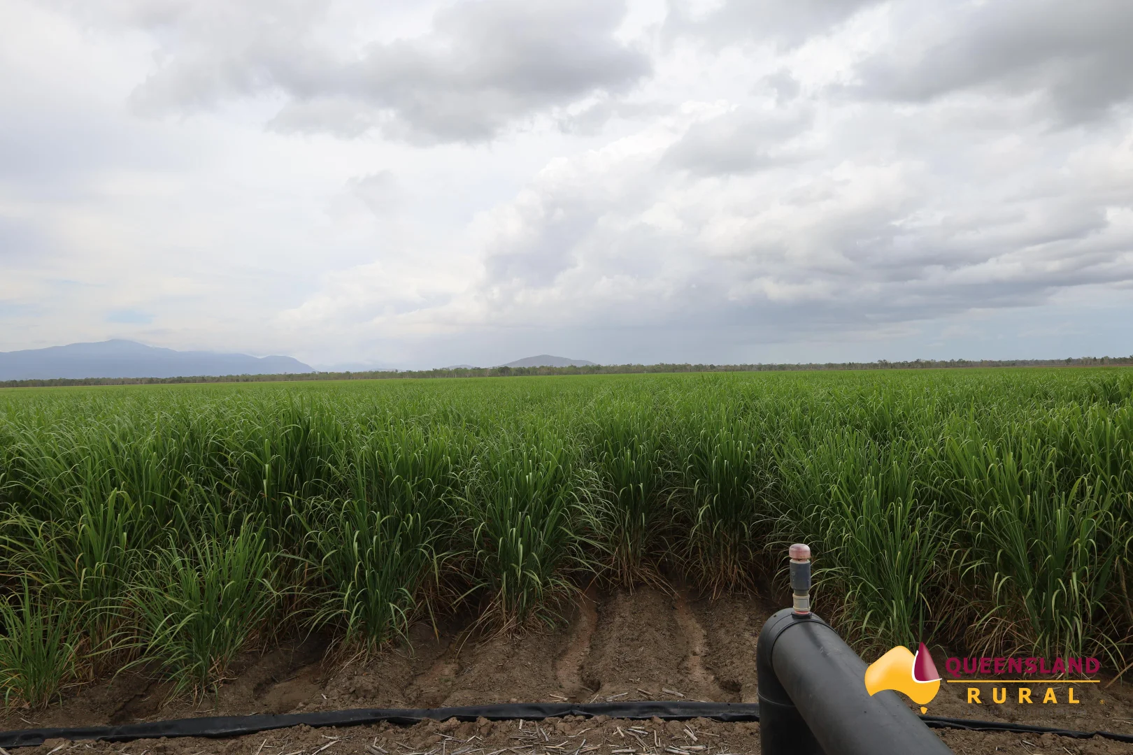 Additional image 5 of Upper Haughton QLD 4809