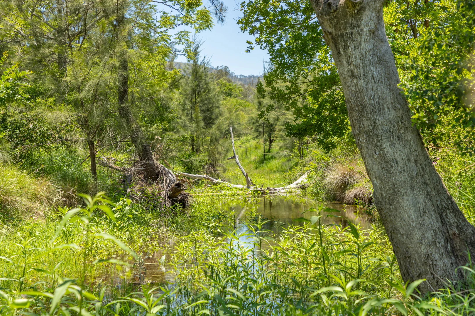 Additional image 31 of 483 Scrub Creek Road, Scrub Creek QLD 4313
