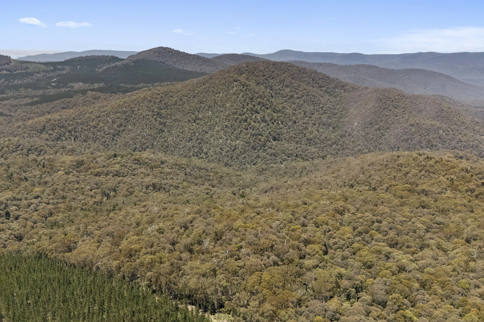 Additional image 13 of 321 Log Bridge Creek Road, Wee Jasper NSW 2582