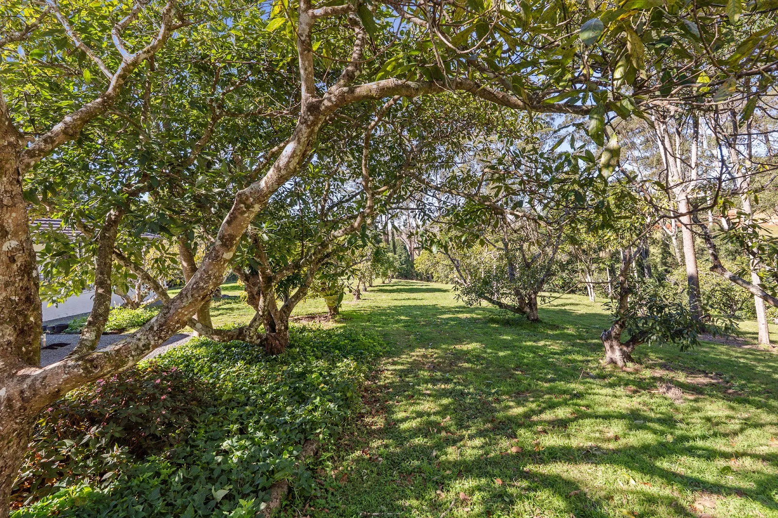 Additional image 38 of Tamborine Mountain QLD 4272