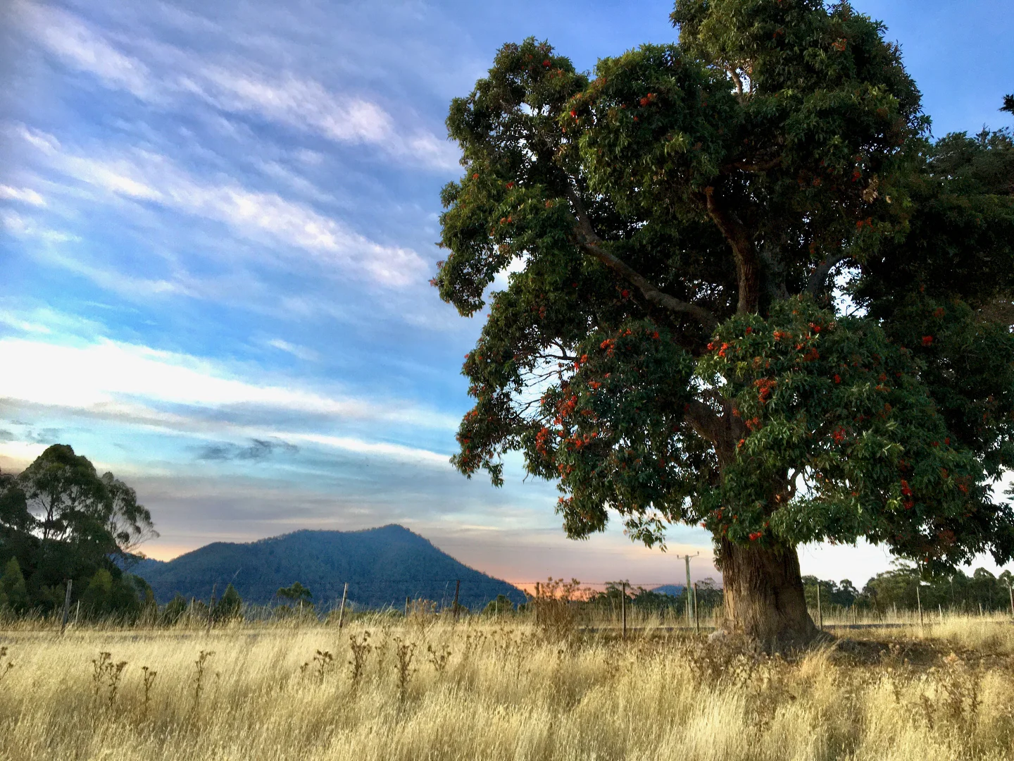 Additional image 5 of 470 Allison Rd, North Motton TAS 7315