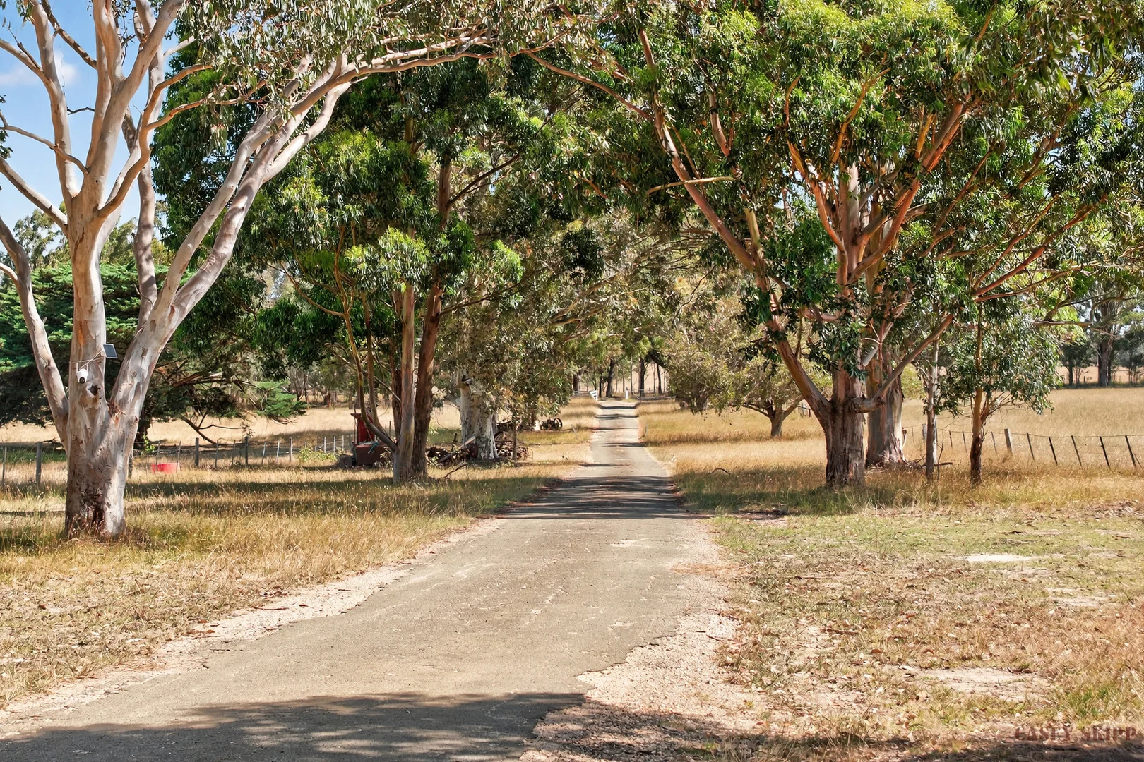 Additional image 5 of 2/440 Nicholson-Sarsfield Road, Sarsfield VIC 3875