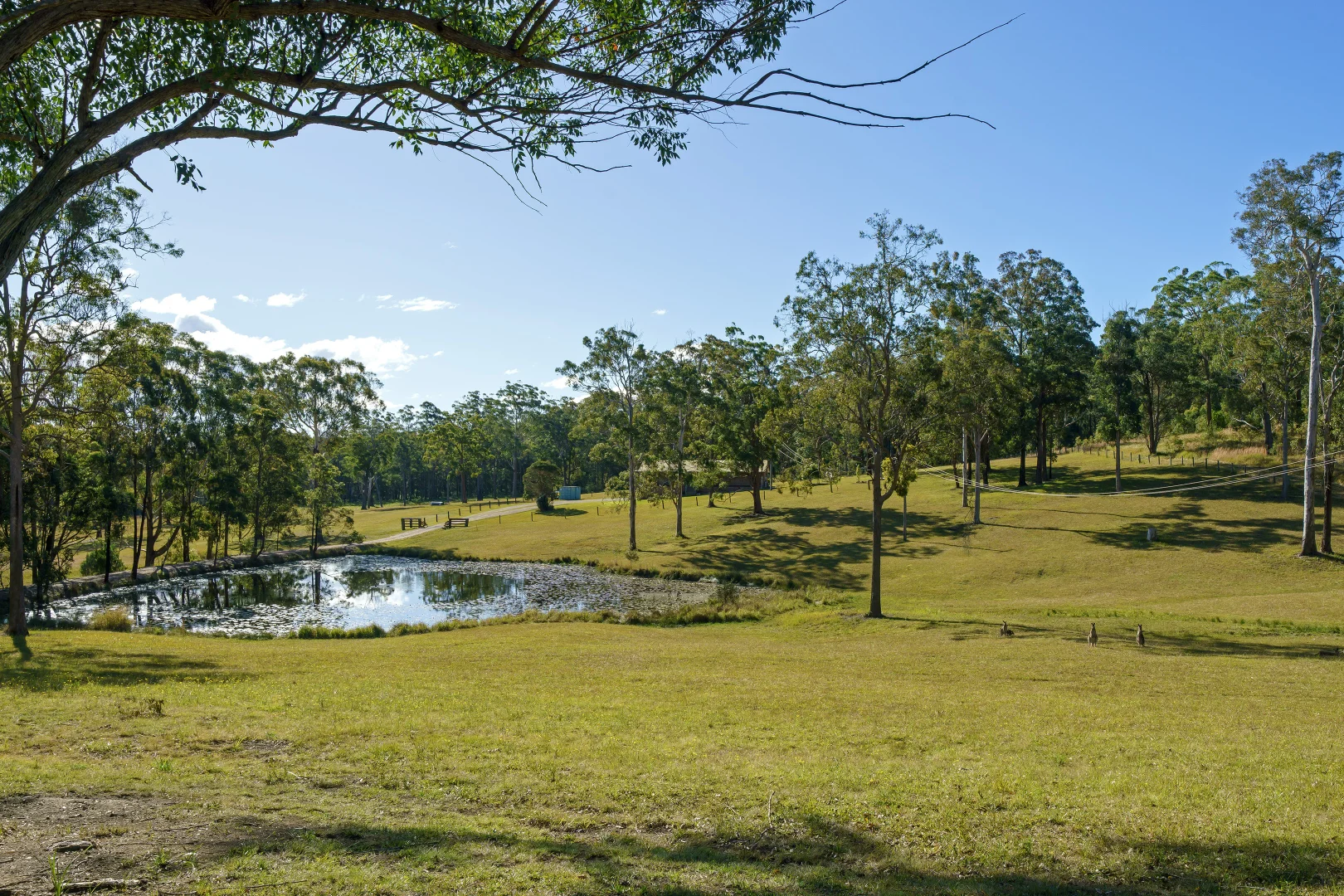 Additional image 14 of 1418 Oxley Highway, Sancrox NSW 2446
