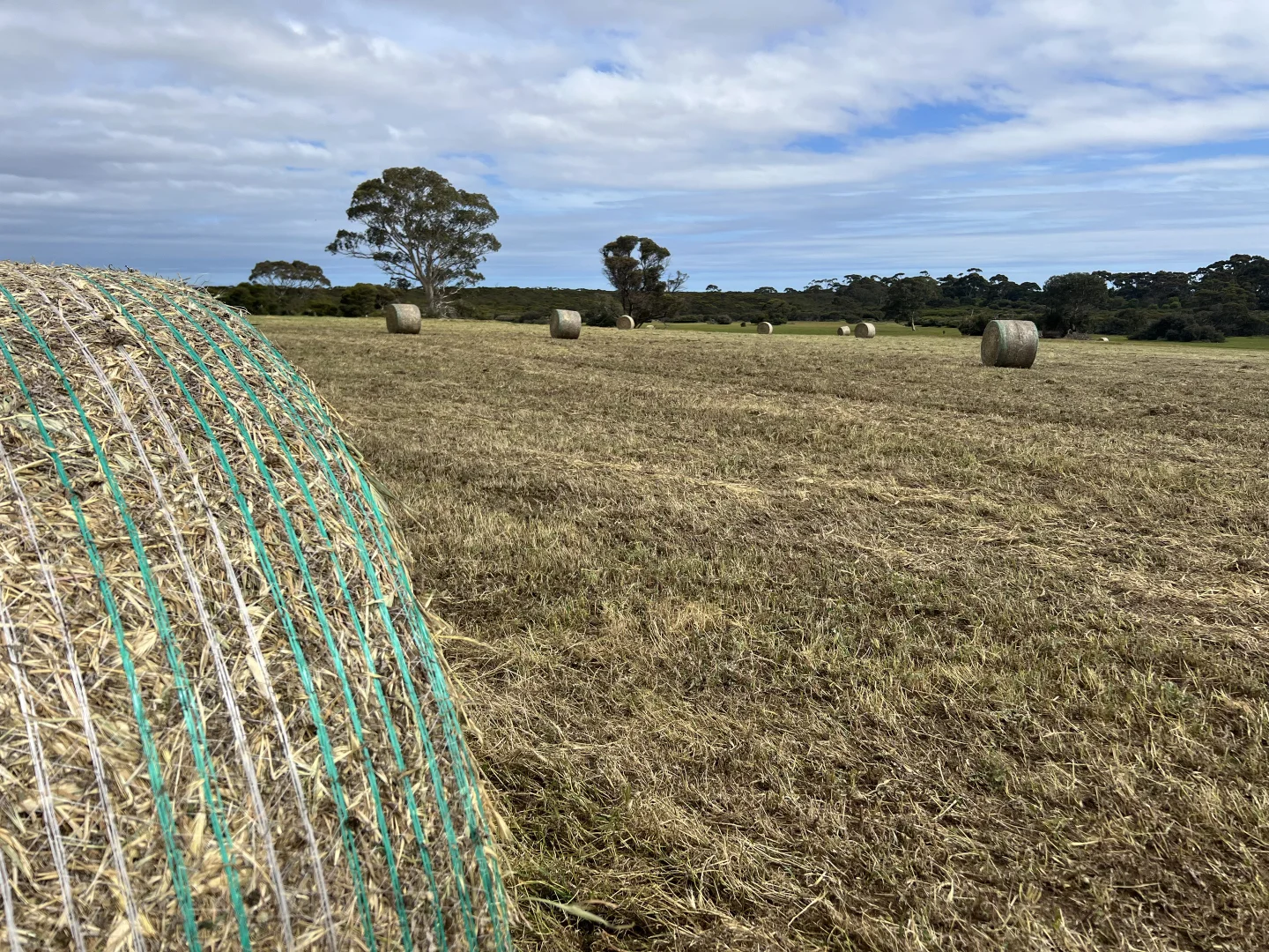 Additional image 3 of 490 East West Two Highway, Seddon SA 5223