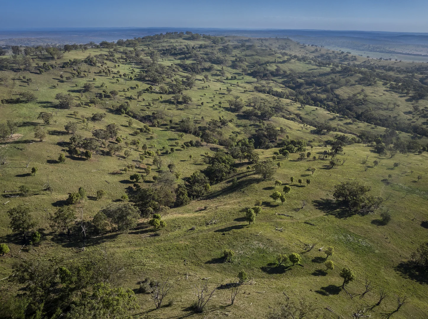 Additional image 21 of 'Mountainside' 250 Mountain Side Road, Coolah NSW 2843