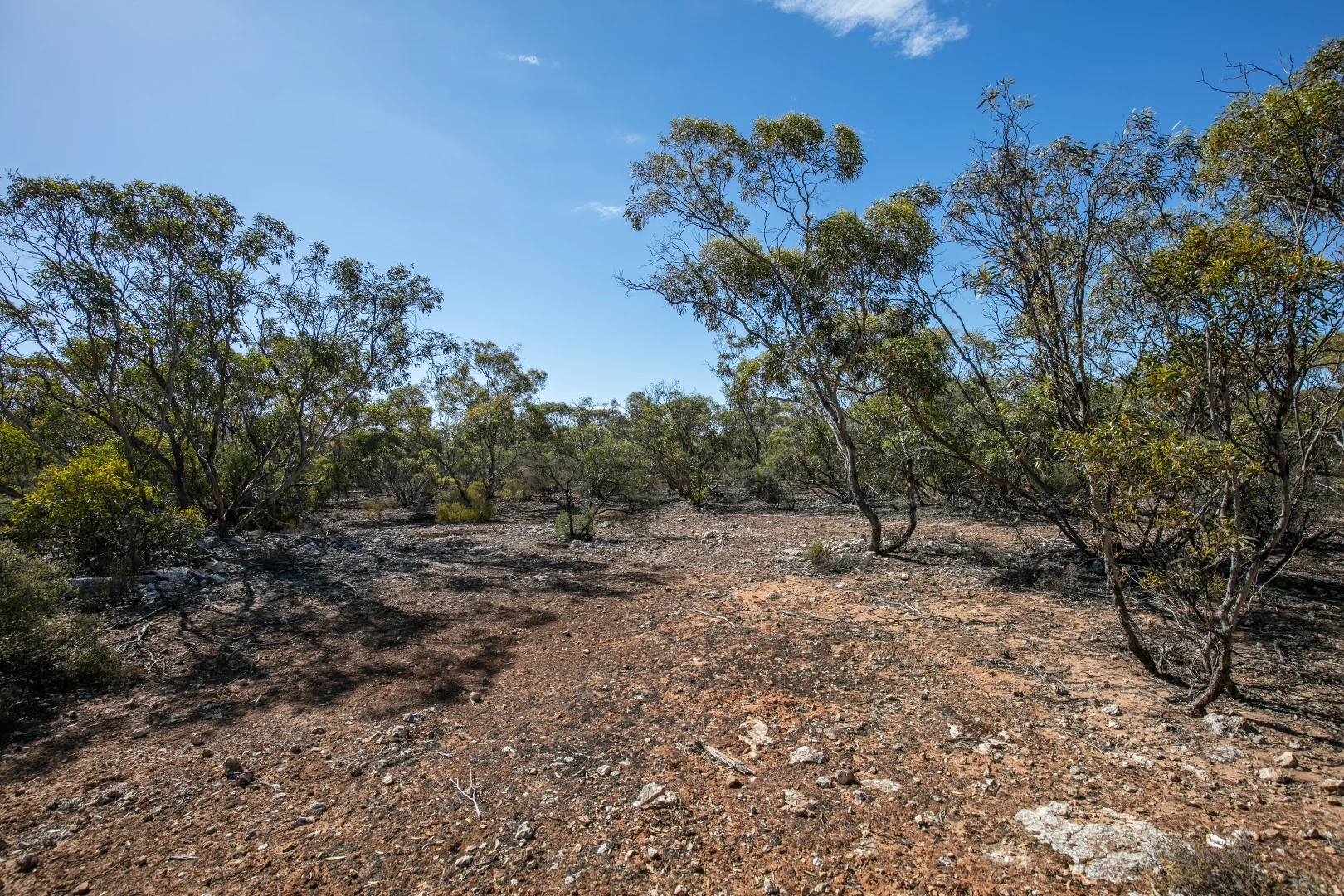 Additional image 6 of Lot 102 Green Road, Ettrick SA 5253
