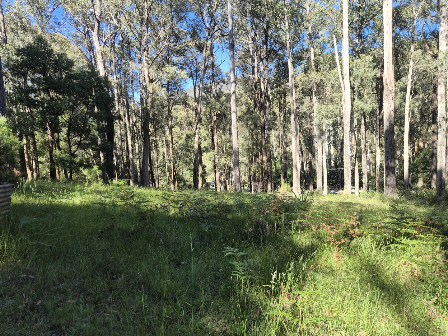 Additional image 8 of 22 Fisherman Drive, Reefton VIC 3799