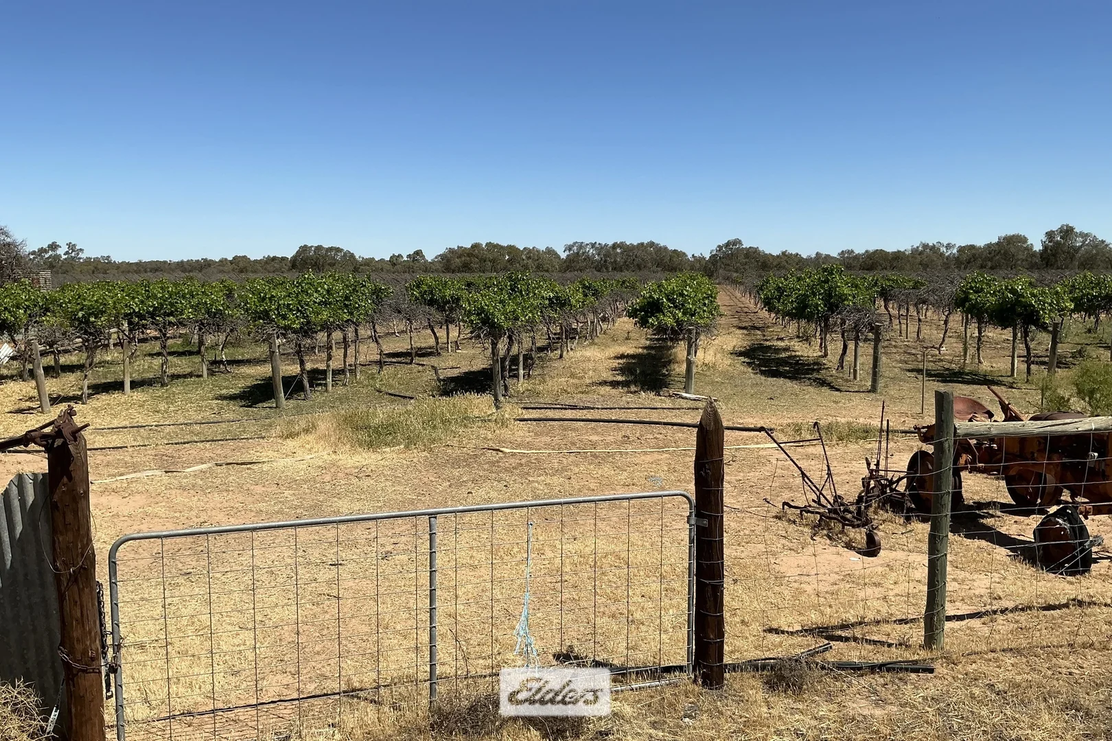 Additional image 22 of 48 Menindee Road, Menindee NSW 2879