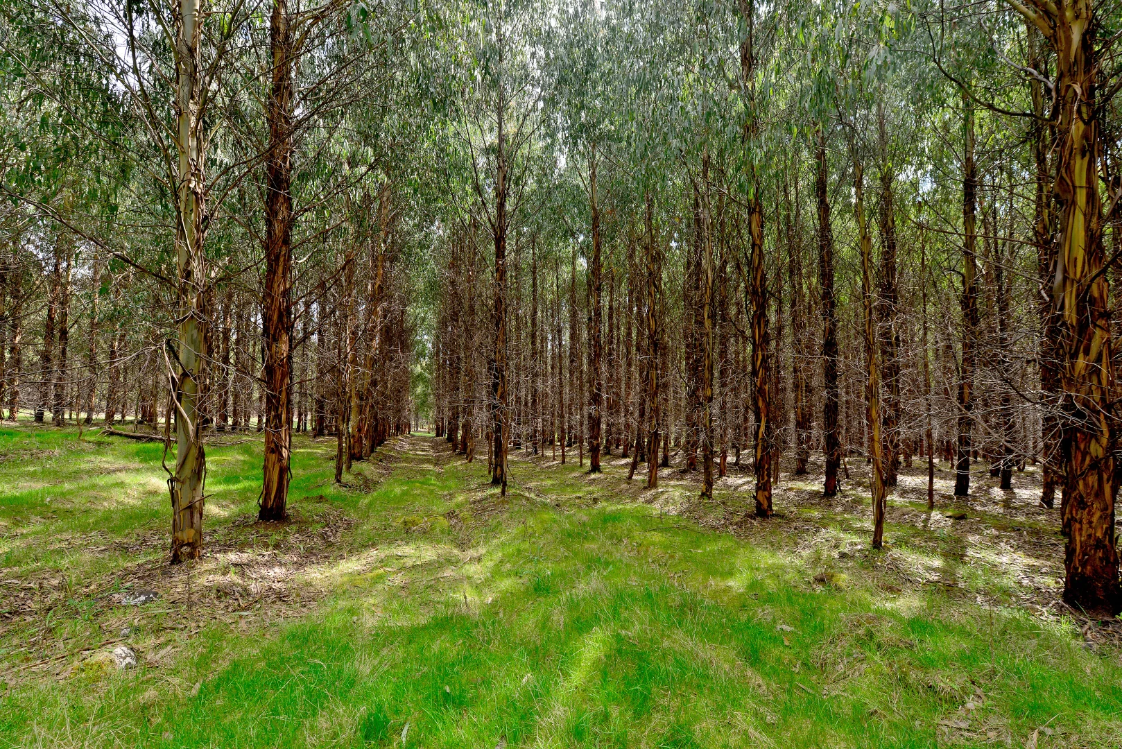 Additional image 7 of 8415 Lyell Highway, Ouse TAS 7140