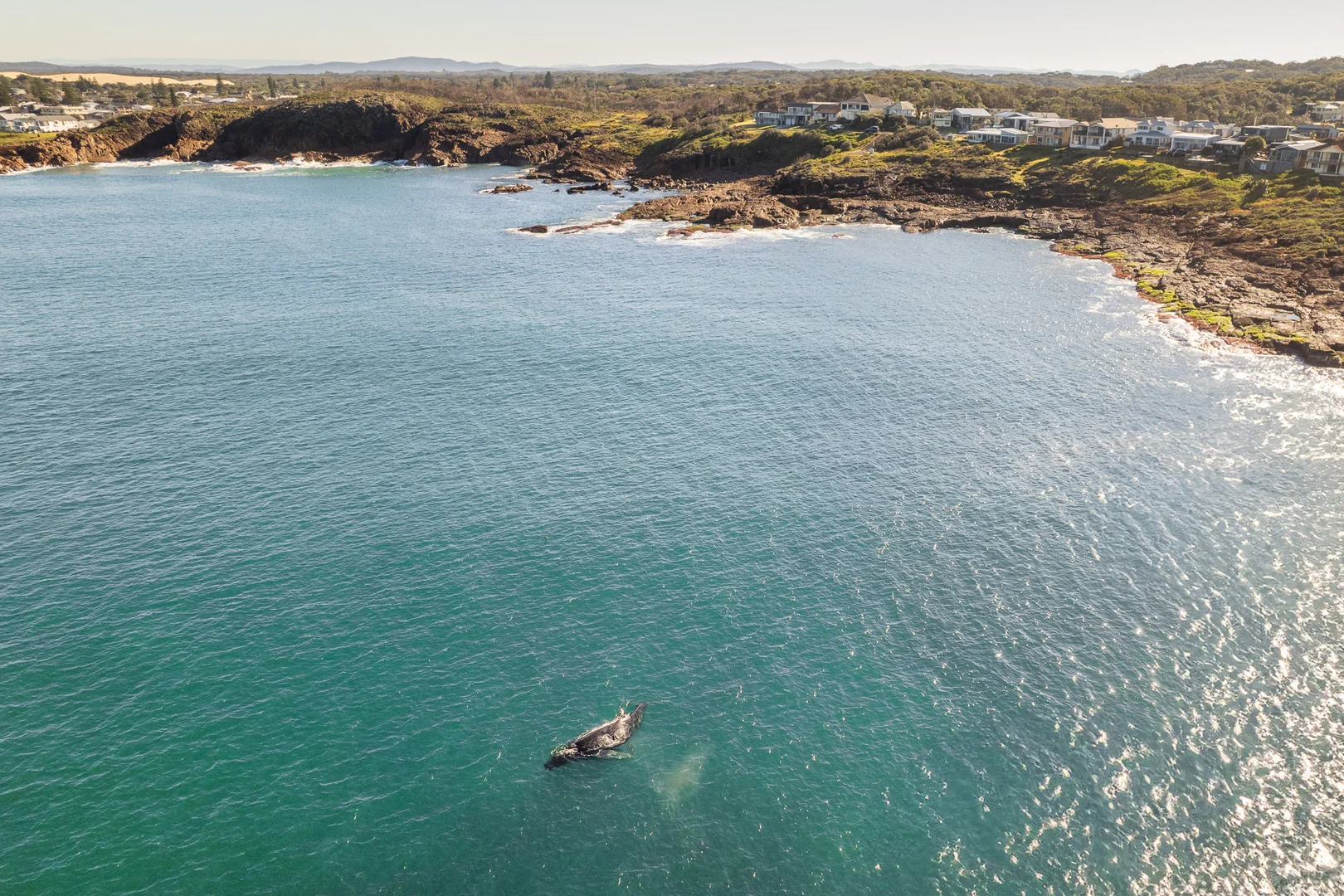 Additional image 5 of 242 Gan Gan Road, Anna Bay NSW 2316