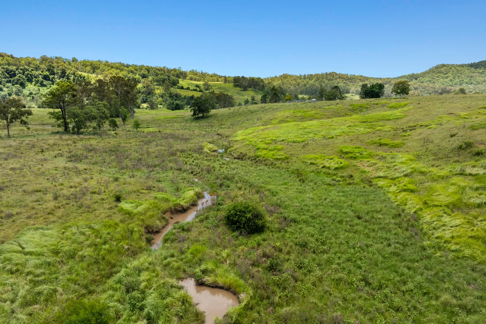 Additional image 13 of 665 Theresa Creek Road, Theresa Creek NSW 2469