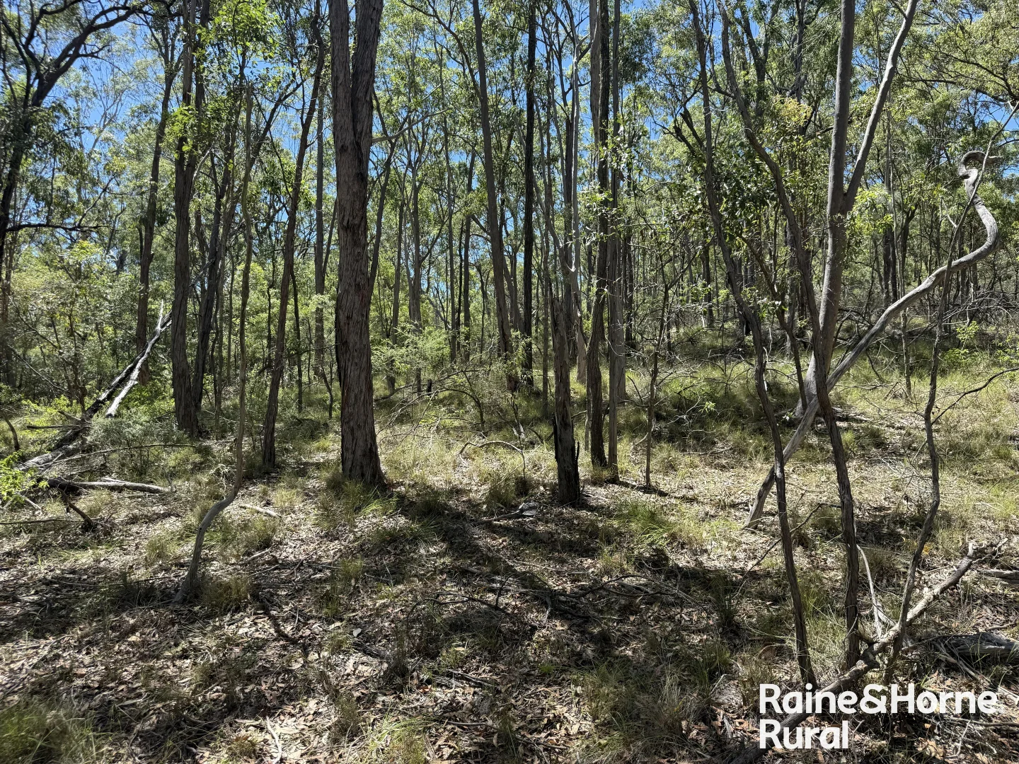 Additional image 7 of Lot 158 Brocklehurst road, Wattle Camp QLD 4615