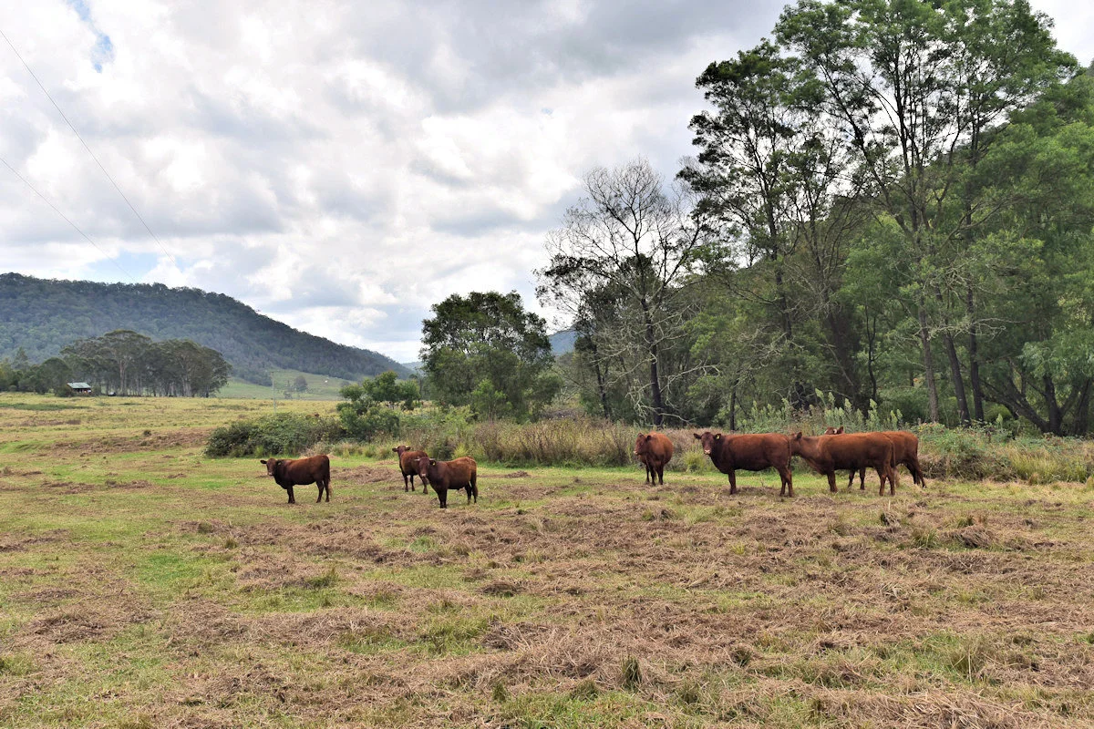 Additional image 22 of 1670 Watagan Creek Road, Watagan NSW 2325