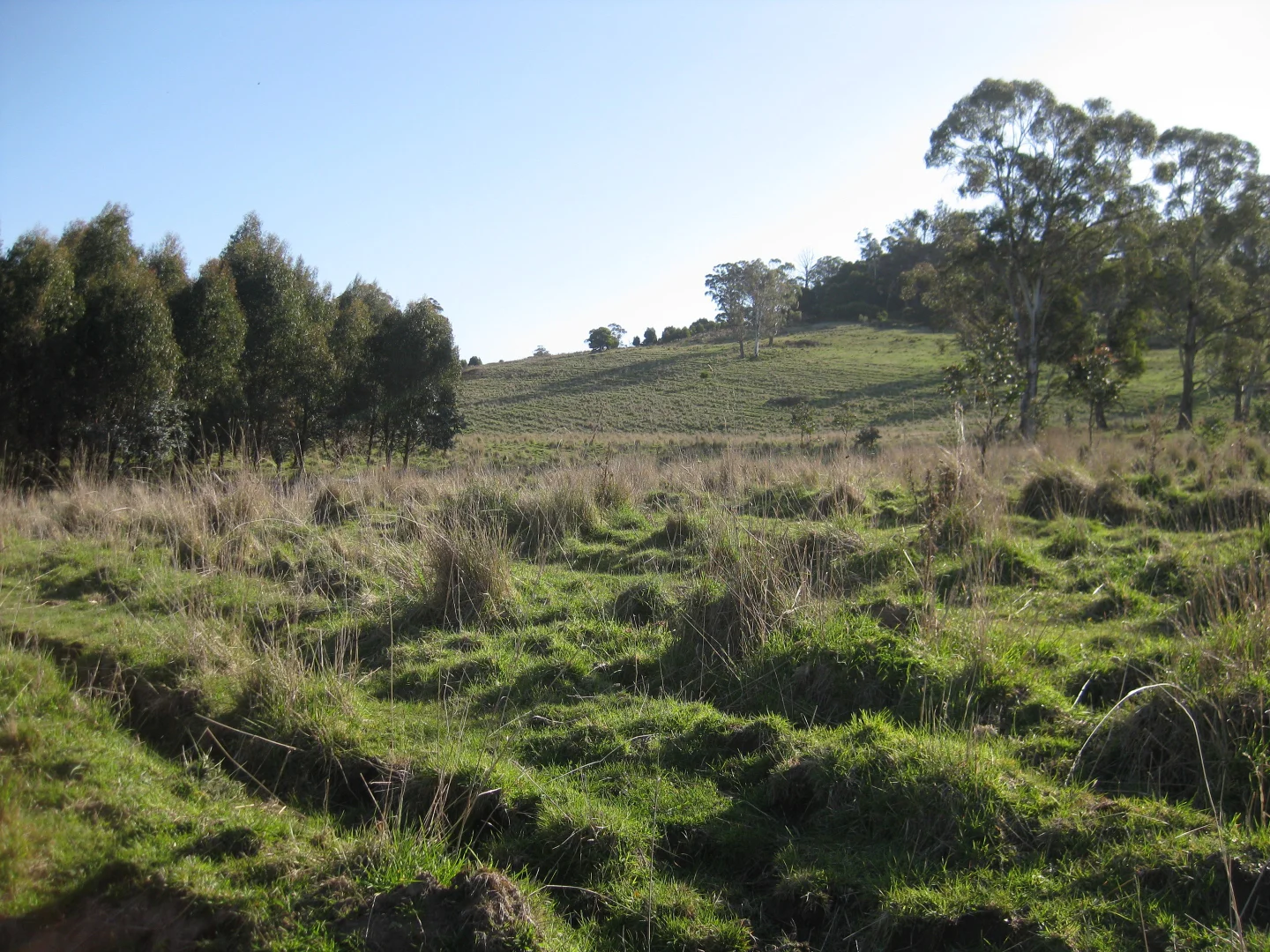 Additional image 17 of 8415 Lyell Highway, Ouse TAS 7140