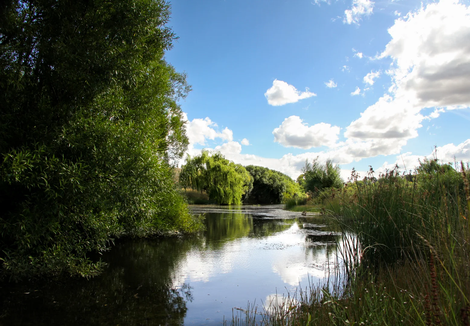 Additional image 3 of 149 Chinamans Lane, Goulburn NSW 2580