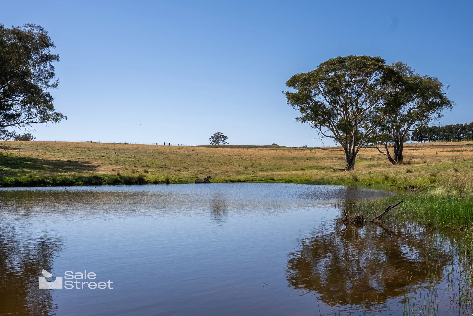 Additional image 35 of 90 Convent Lane, Borenore NSW 2800