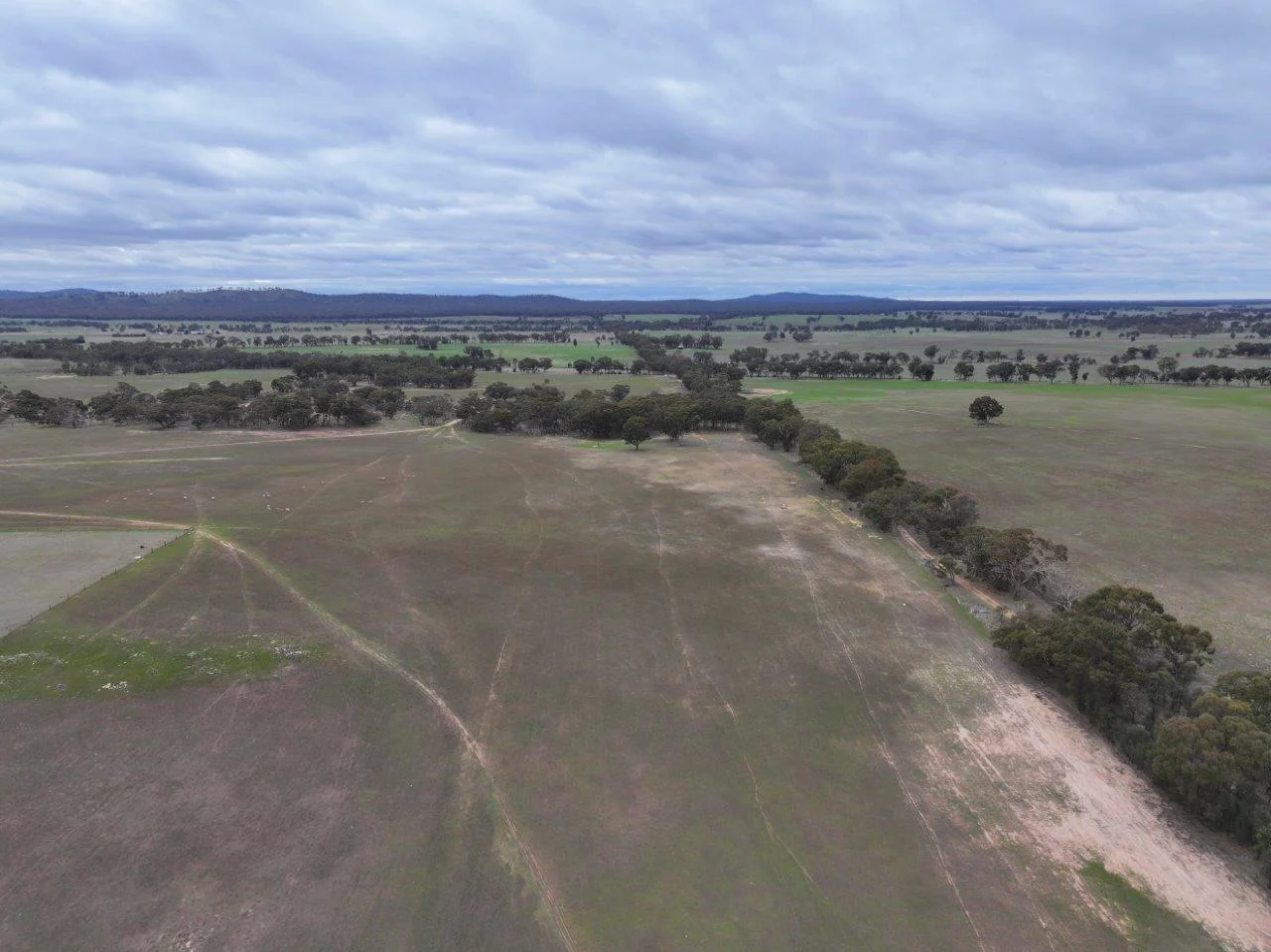 Additional image 6 of Lot 1 Rheola - Llanelly Road, Murphys Creek VIC 3551