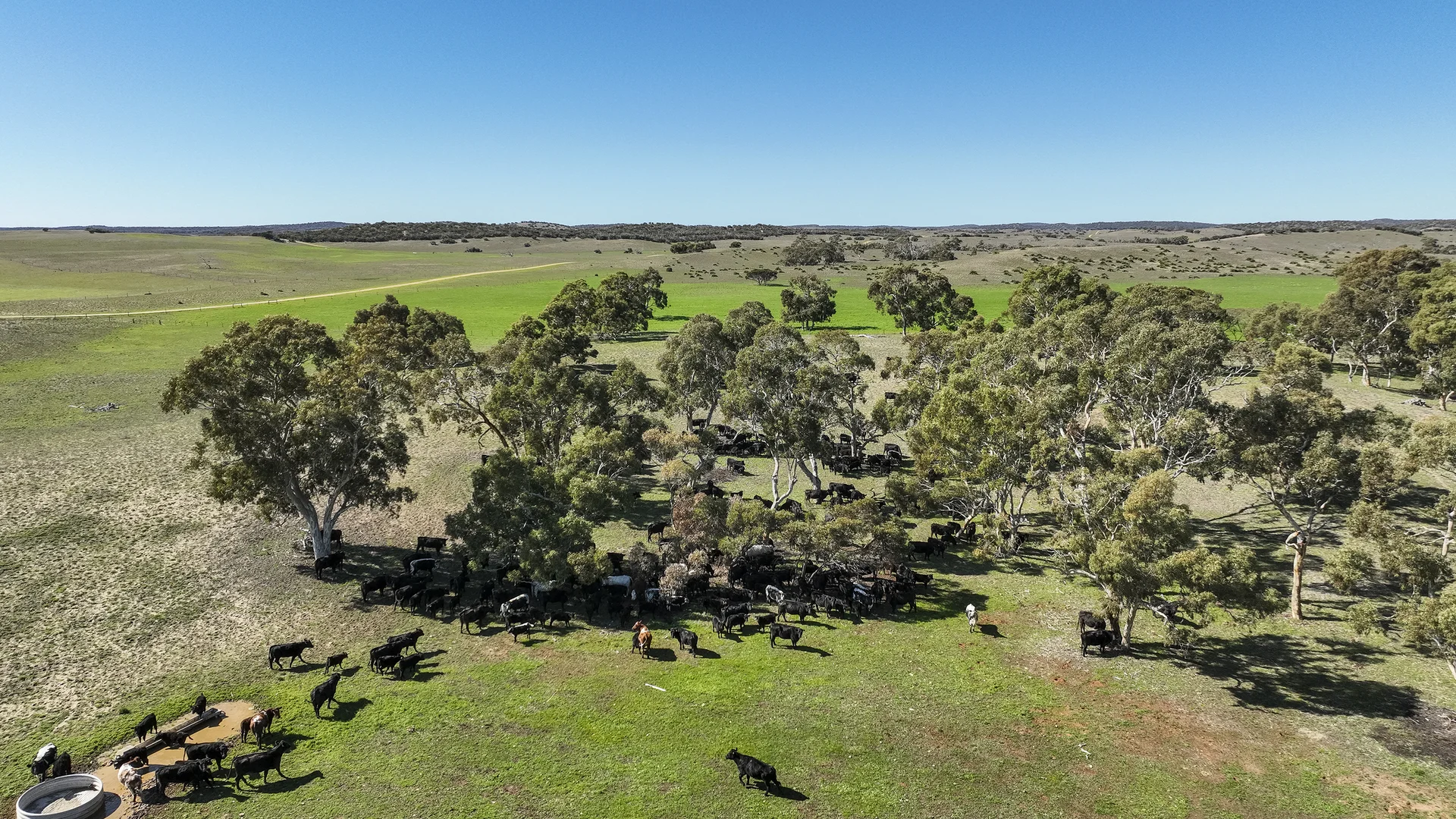 Additional image 21 of 381 & 907 Pascoe Road, Coonalpyn SA 5265