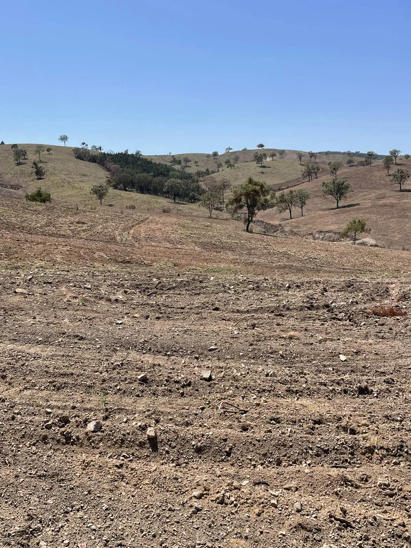 Additional image 27 of Lot 9 Silver Spur Redgate Road, Silver Spur QLD 4385