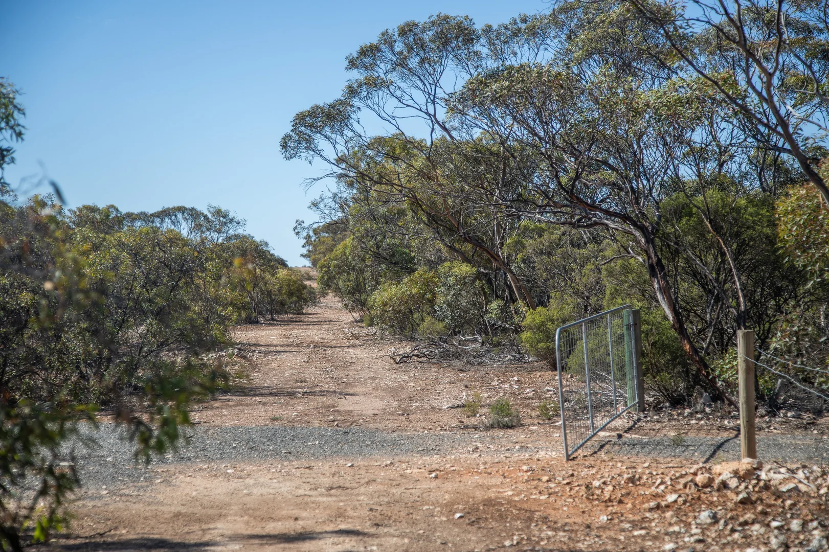 Additional image 17 of Lot 102 Green Road, Ettrick SA 5253