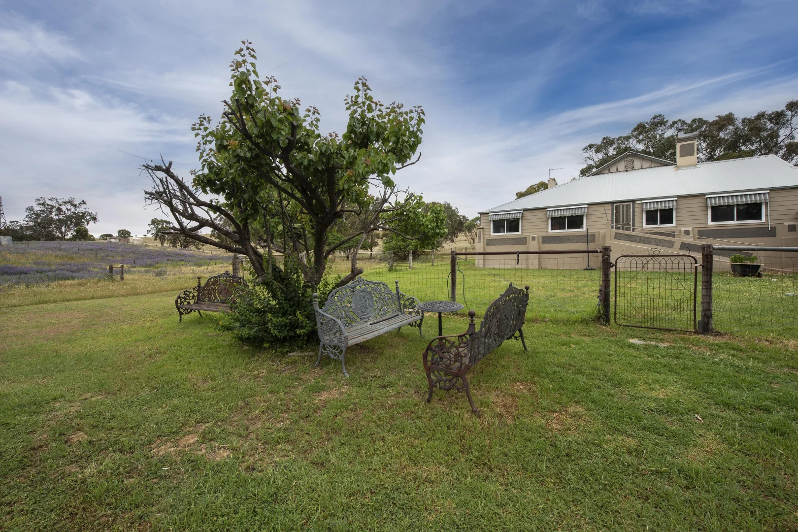 Additional image 22 of 1479 Survey Rd, Melrose SA 5483