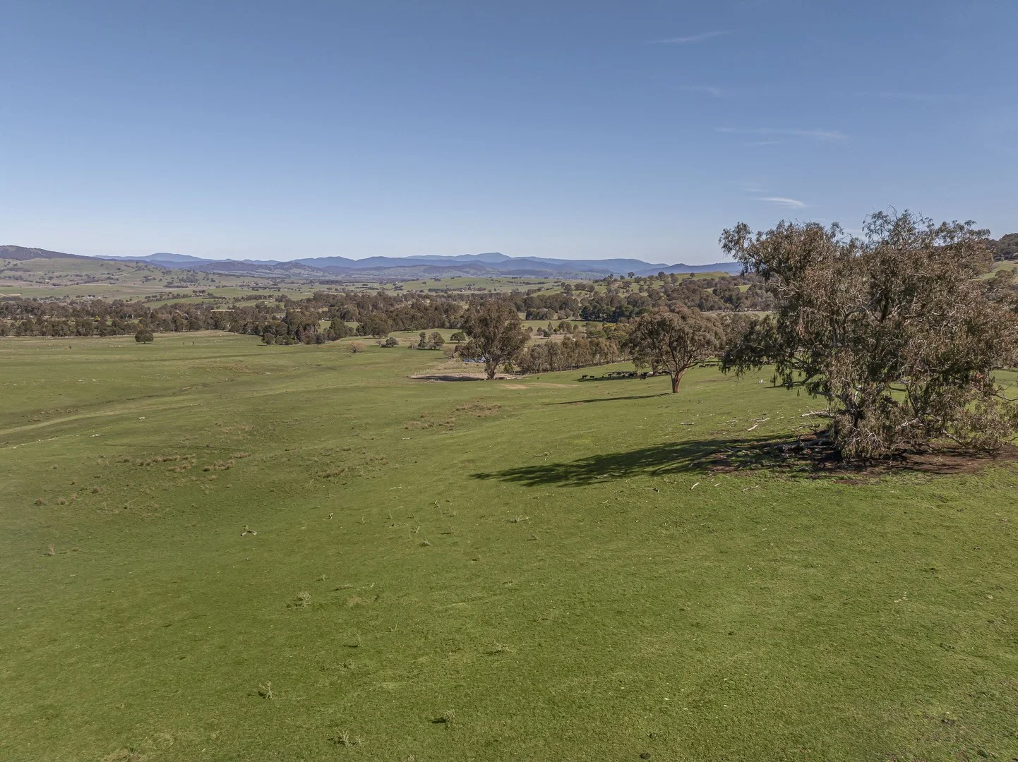 150 Gonzaga Lane, Merrijig VIC 3723