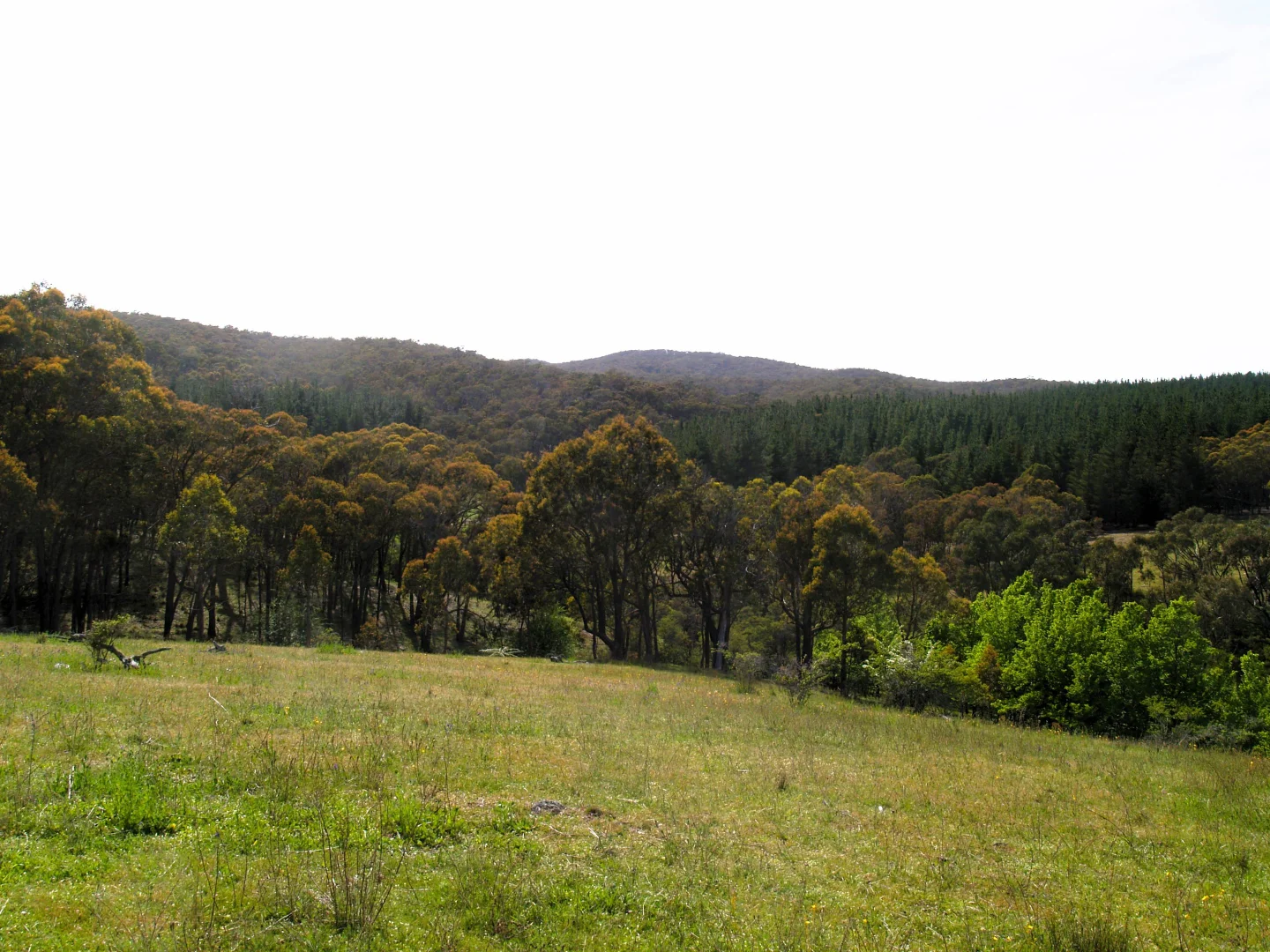 Additional image 14 of 198 Wurungul Lane, Gundaroo NSW 2620