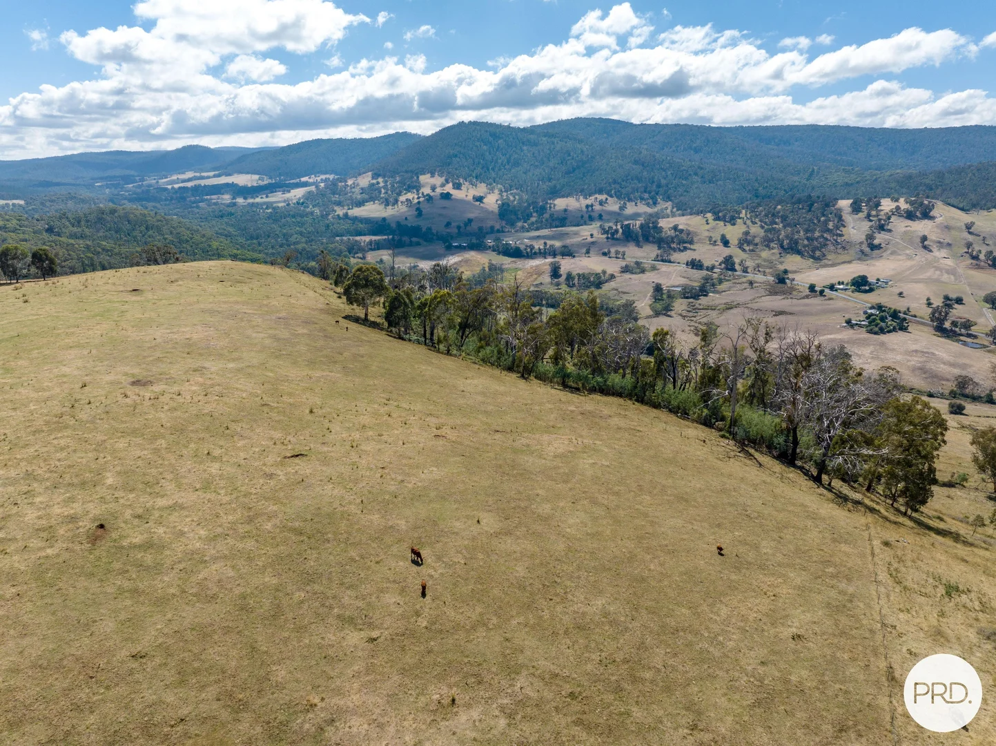 Additional image 57 of 1100 Batlow Road, Tumbarumba NSW 2653