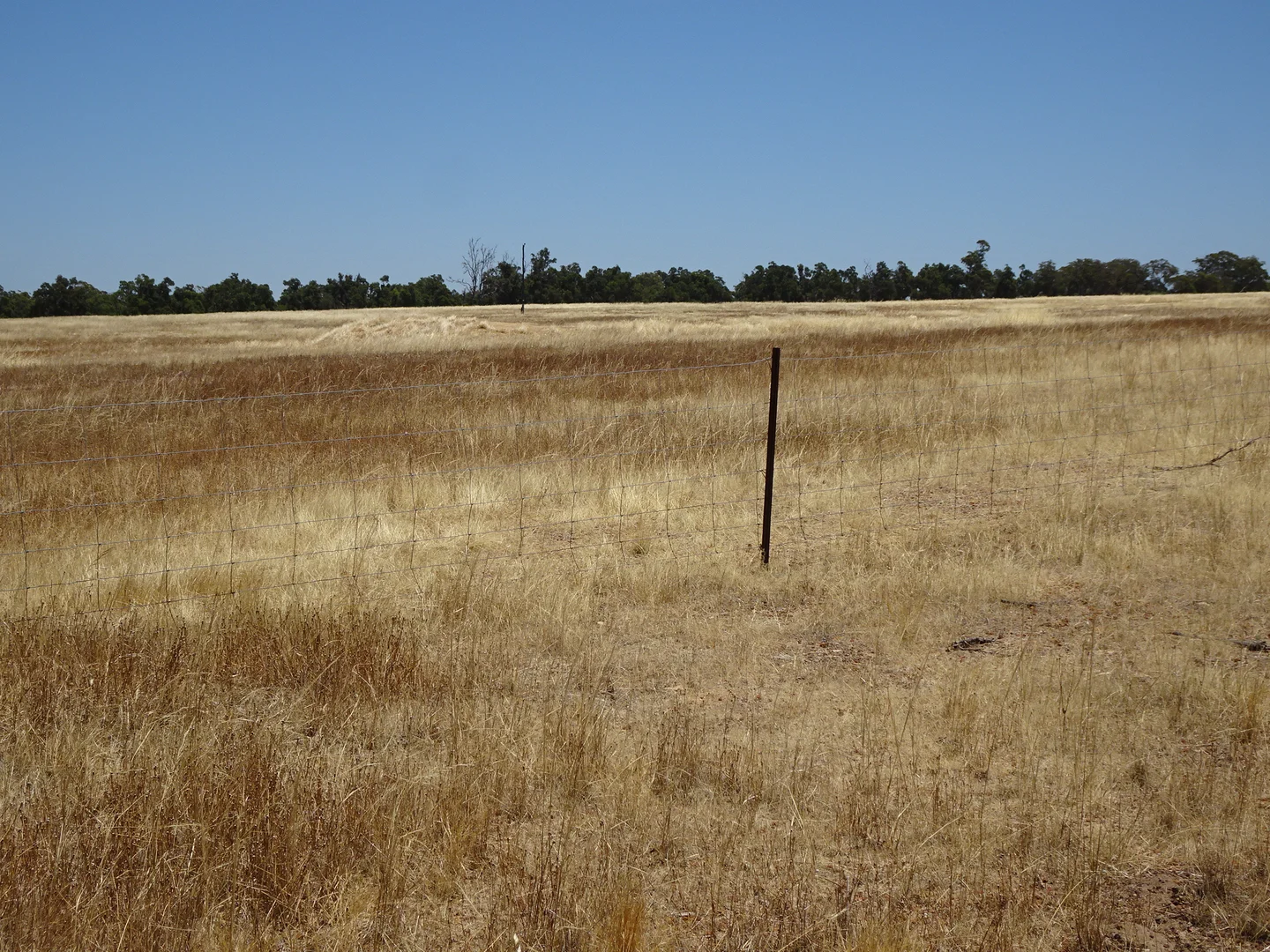 Additional image 12 of 160 Chittleborough Road, Brookton WA 6306