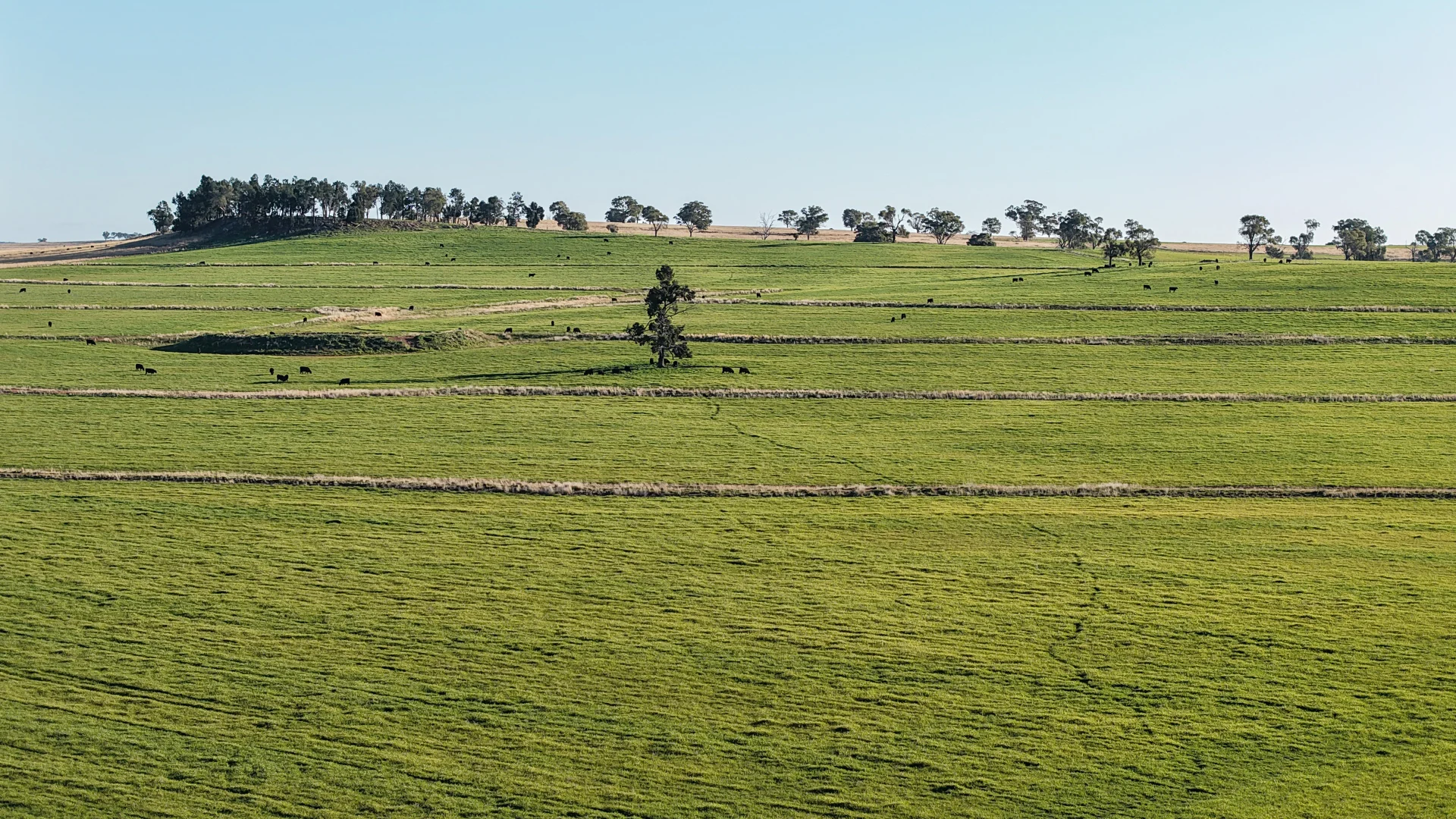 Additional image 7 of 38 Tallawonga Road, Elong Elong NSW 2831