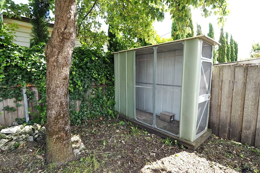 Additional image 11 of 32 Bryan Street, Invermay TAS 7248