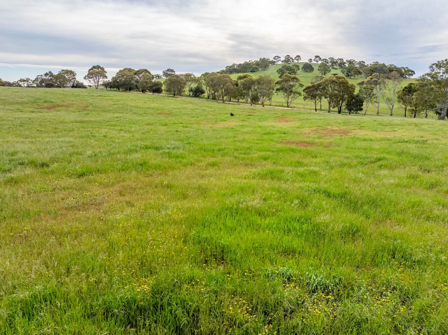 Additional image 22 of 312 Collins Road, Tungkillo SA 5236