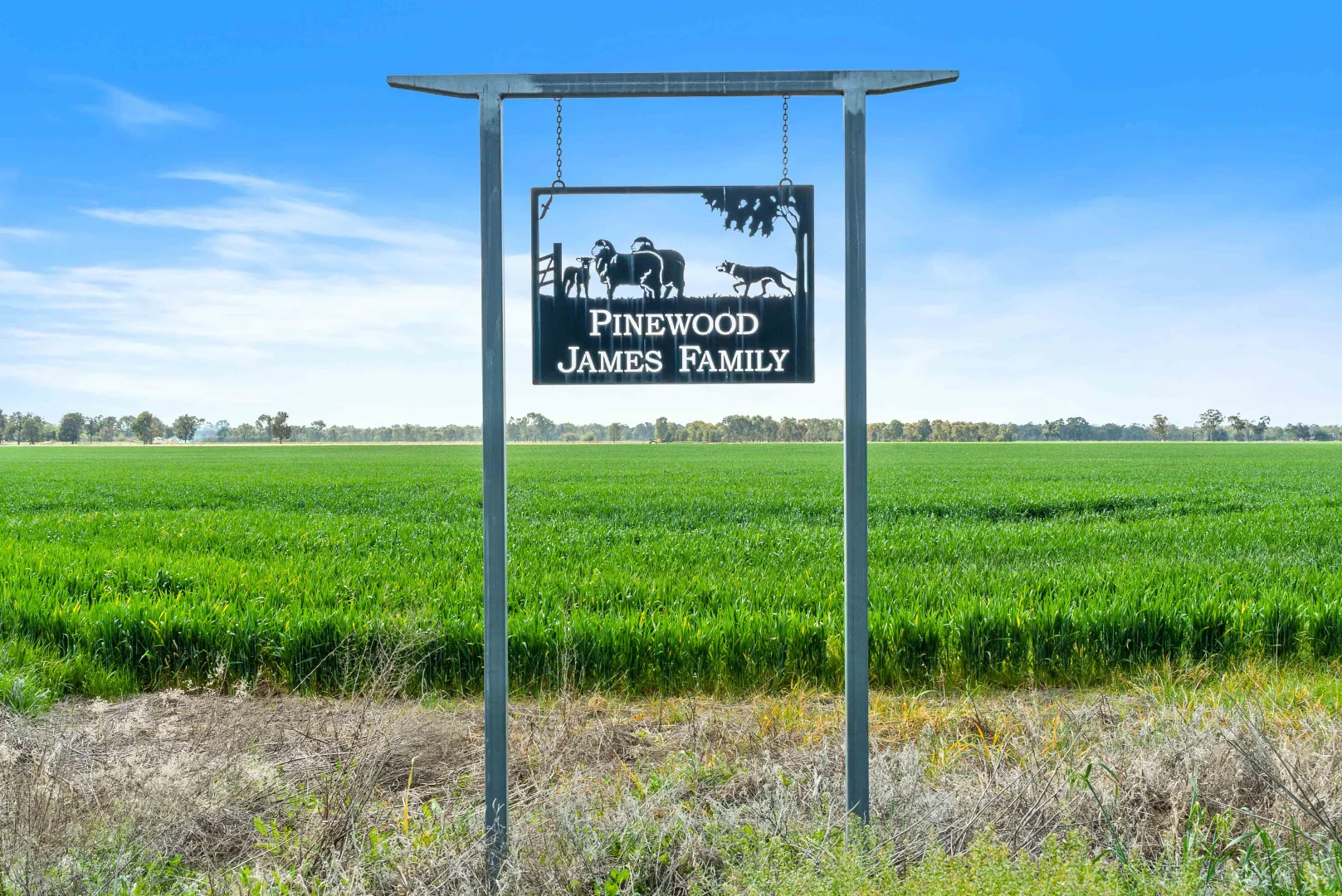 Additional image 6 of Pinewood, 870 Walshs Bridge Road, Kaarimba VIC 3635