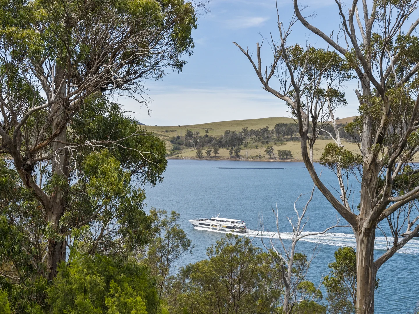 Additional image 26 of 93 Barton Avenue, Triabunna TAS 7190