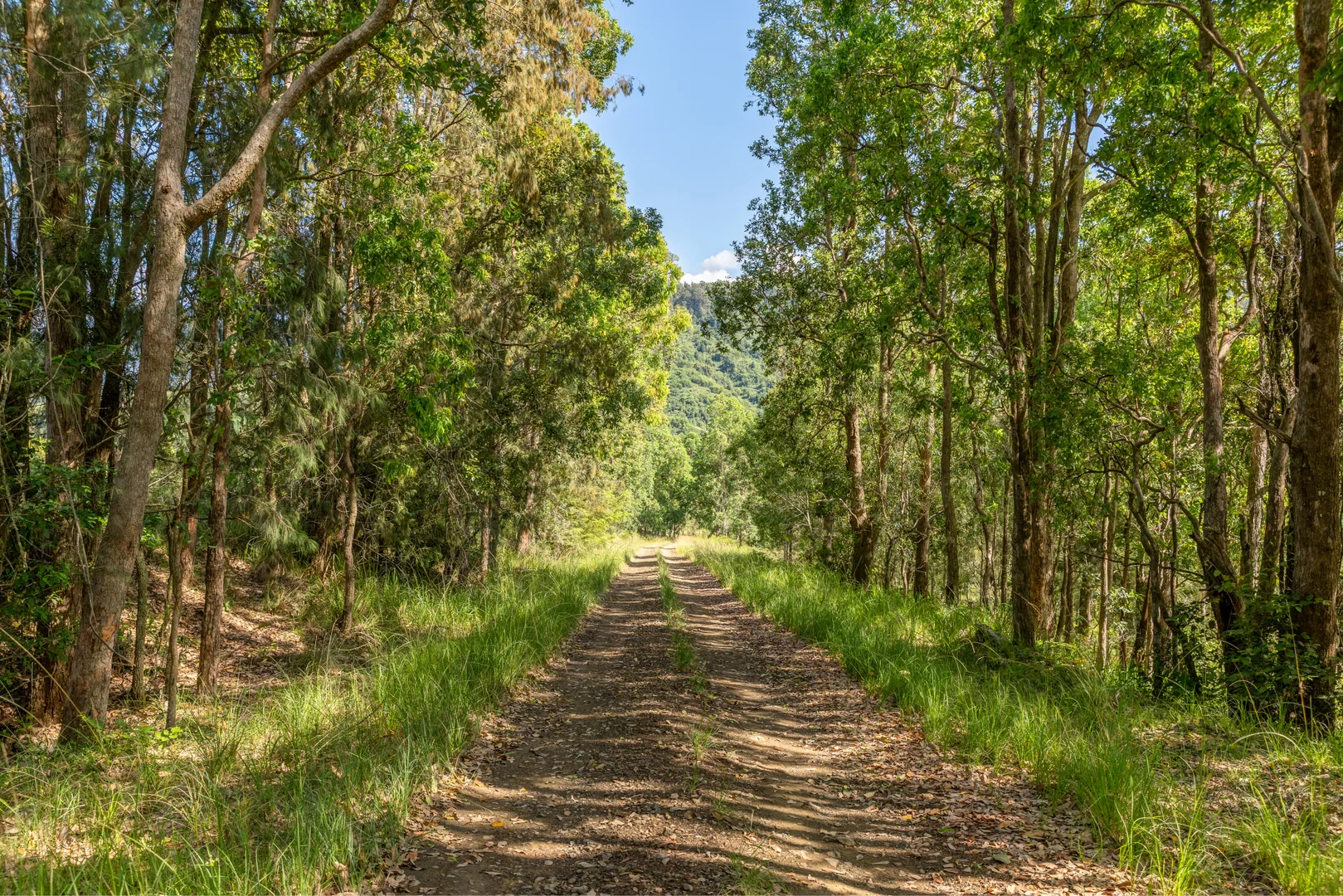 Additional image 14 of 1012 Boonabilla Road, Gresford NSW 2311