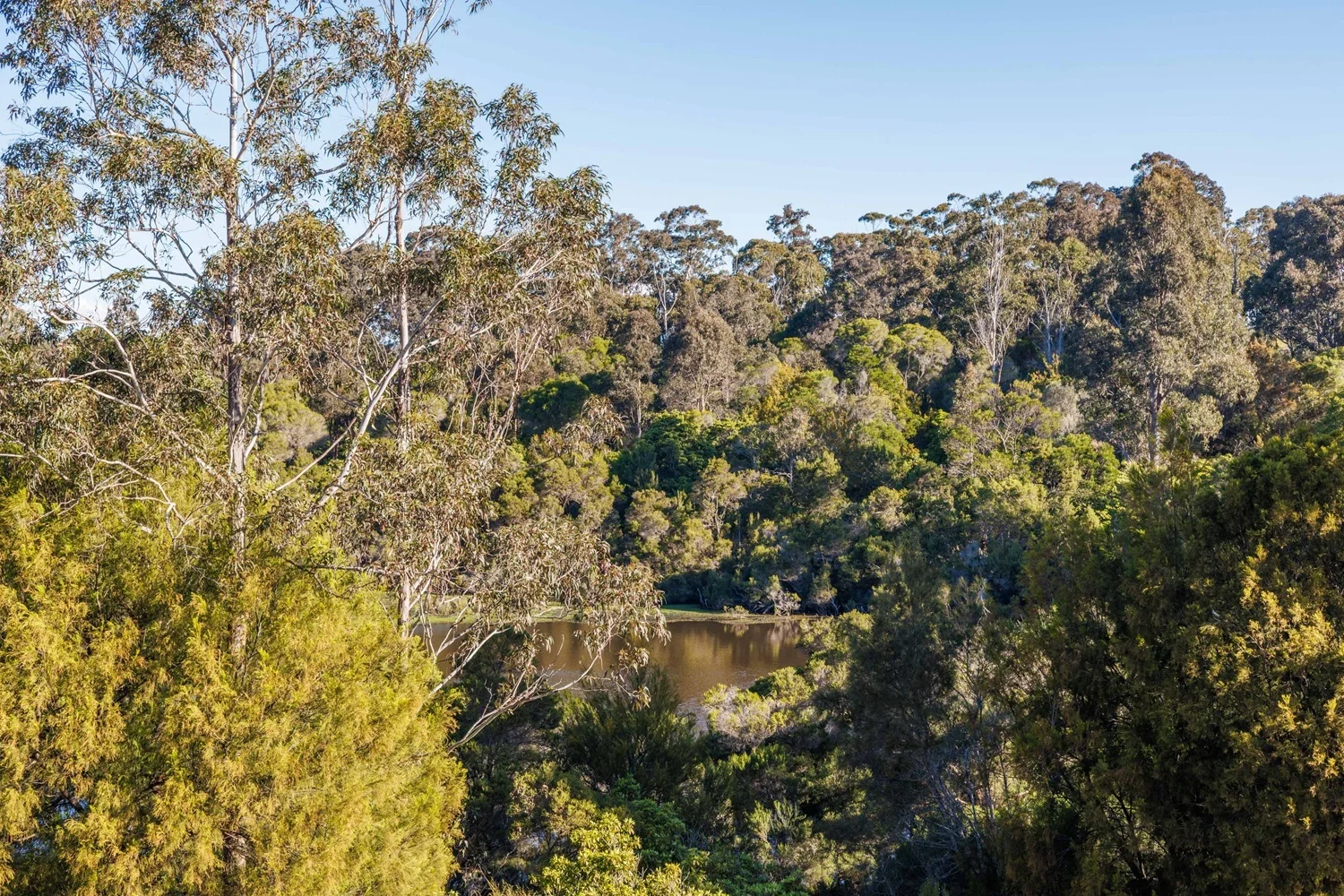 Additional image 9 of Unit 1/47 Ida Rodd Dr, Eden NSW 2551